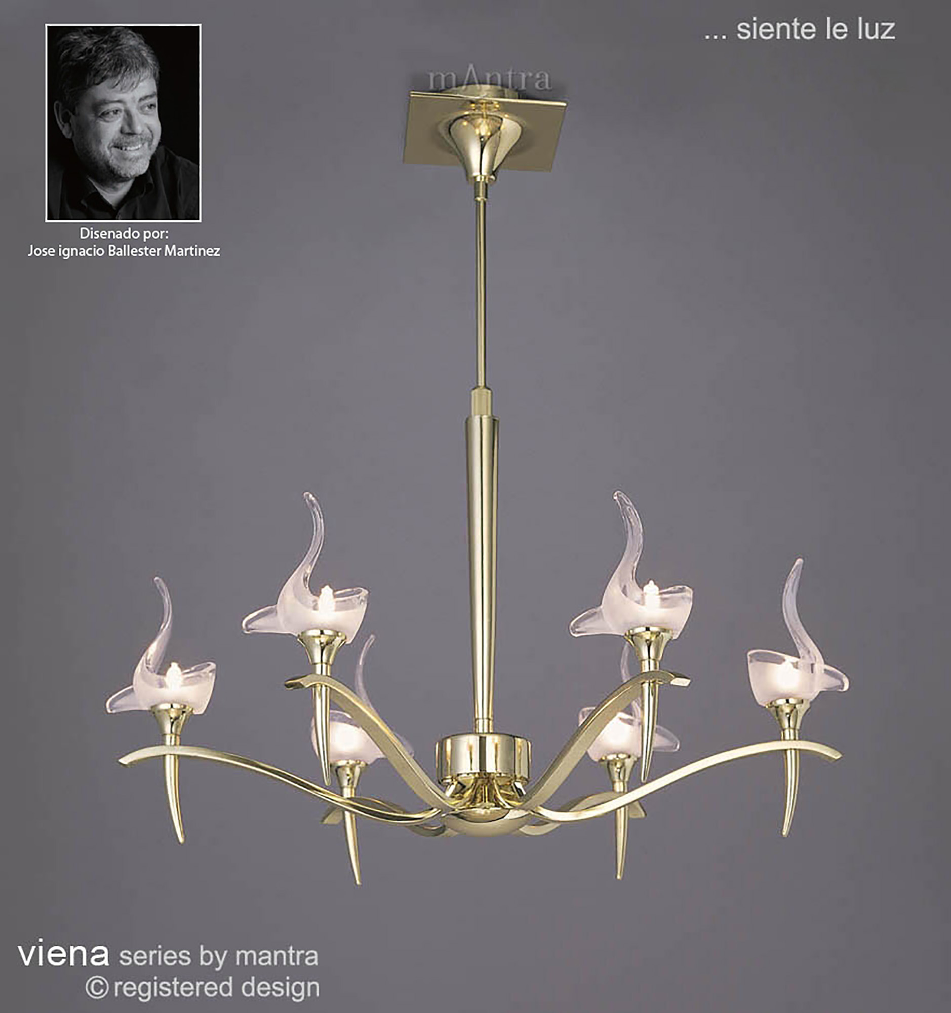 Viena PB Ceiling Lights Mantra Contemporary Ceiling Lights Viena PB Ceiling Lights Mantra Contemporary Ceiling Lights